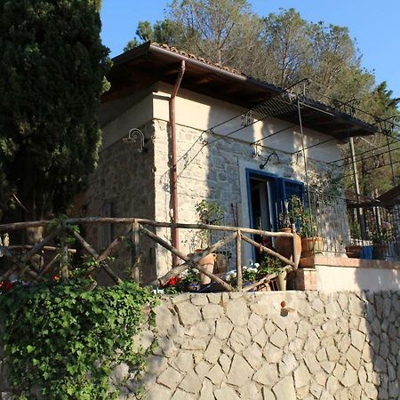 テッラチーナ Casa Azzurraヴィラ エクステリア 写真